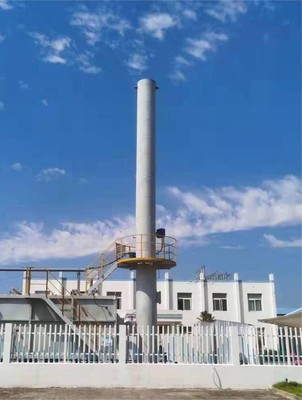 精细化工废气焚烧炉